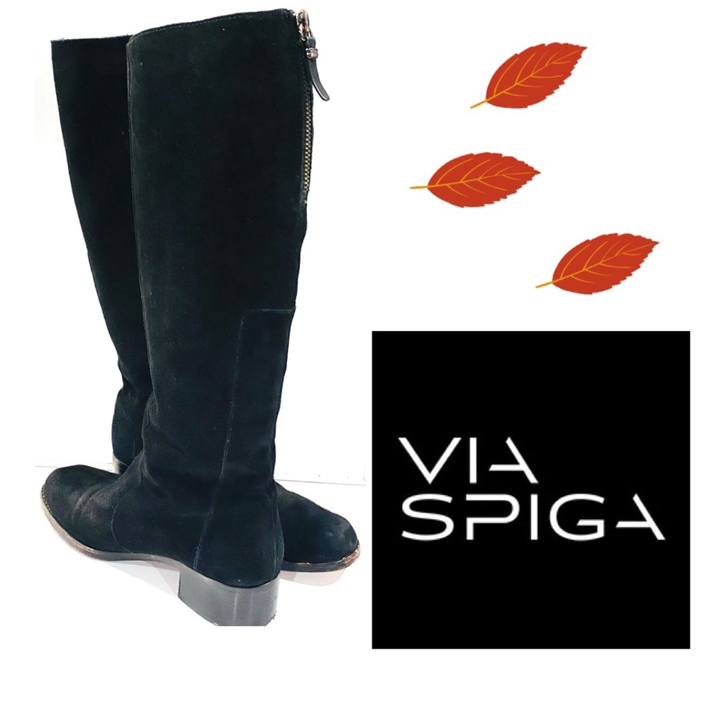 Gorgeous VIA SPIGA Suede Zip Boots